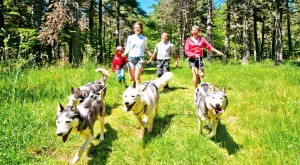 LA CANI-RANDO Vous partez en randonnée reliés au chien par un harnais, accompagnés par un musher professionnel à la journée ou à la demi-journée. Du sport garanti !            