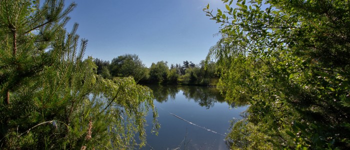 L'étang est accessible par les 2 chalets. 