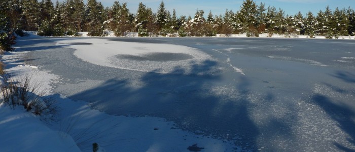  L'étang gelé de Michel Ferrier (2)  
