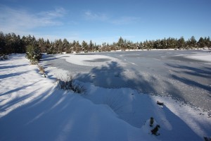 L'étang  caché sous une belle couche de glace.