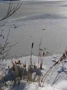 L'étang gelé de Michel Ferrier (6) 
