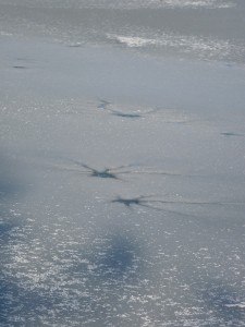  L'étang gelé, trou d'eau dans la glace 